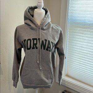 Brandy Melville Norway (green lettering) Gray Hoodie - One Size